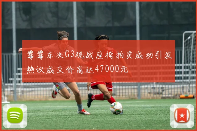 霉霉东决G3观战座椅拍卖成功引发热议成交价高达47000元