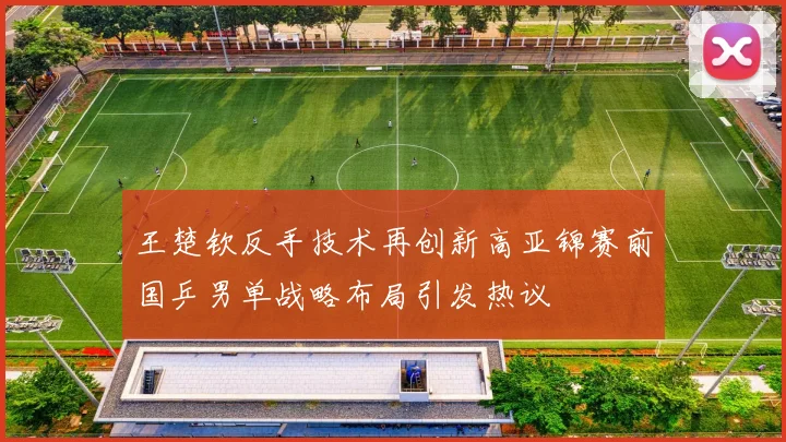 王楚钦反手技术再创新高亚锦赛前国乒男单战略布局引发热议